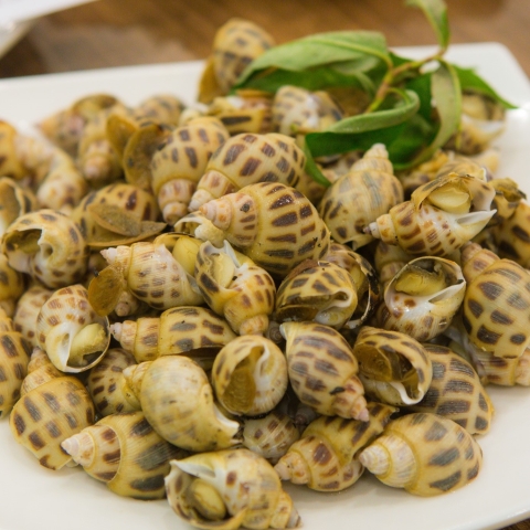 Nghêu - Sò lông - Sò dương - Càng cúm