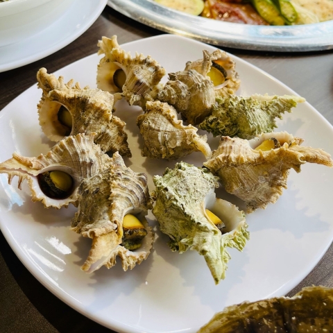 Nghêu - Sò lông - Sò dương - Càng cúm